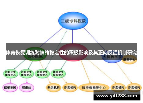 体育恢复训练对情绪稳定性的积极影响及其正向反馈机制研究